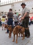 www.zycie.pl